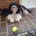 Coco ca. 1 Jahr 8 Monate