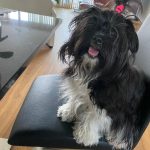 Danny ca. 1 Jahr 4 Monate