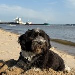 Fritz ca. 1 Jahr 4 Monate