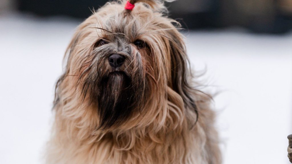 LKilly, hier 2 Jahre, 0 Monate und 30 Tage