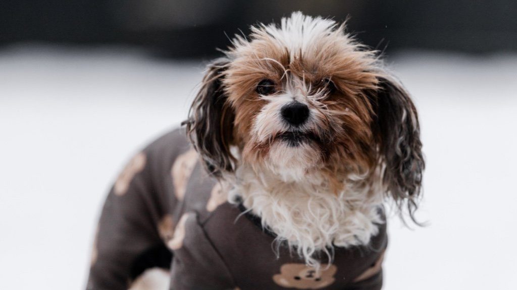 Aavaa, hier 12 Jahre, 10 Monate und 25 Tage