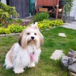 Eden 2 Jahre