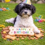 Emmi 2 Jahre