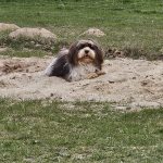 Fussel 2 Jahre