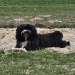 Müsli 2 Jahre