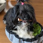 Danny 2 Jahre