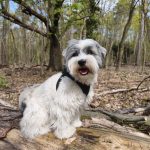 Enyo 2 Jahre