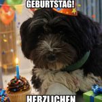 Fritz 2 Jahre